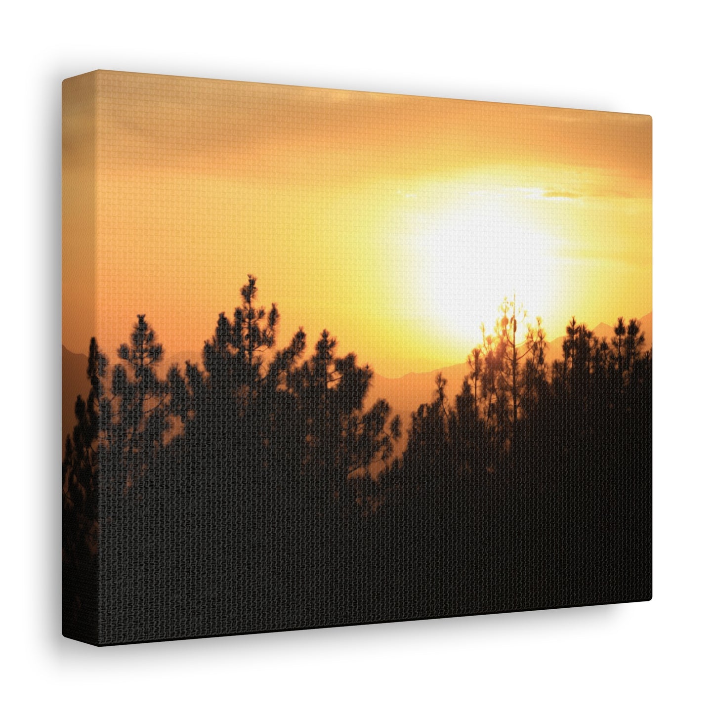 Forest Mountain - Nature Collection