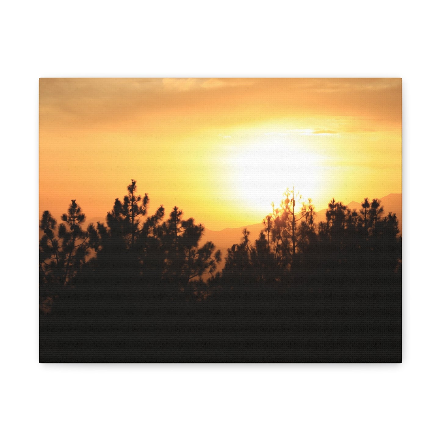 Forest Mountain - Nature Collection
