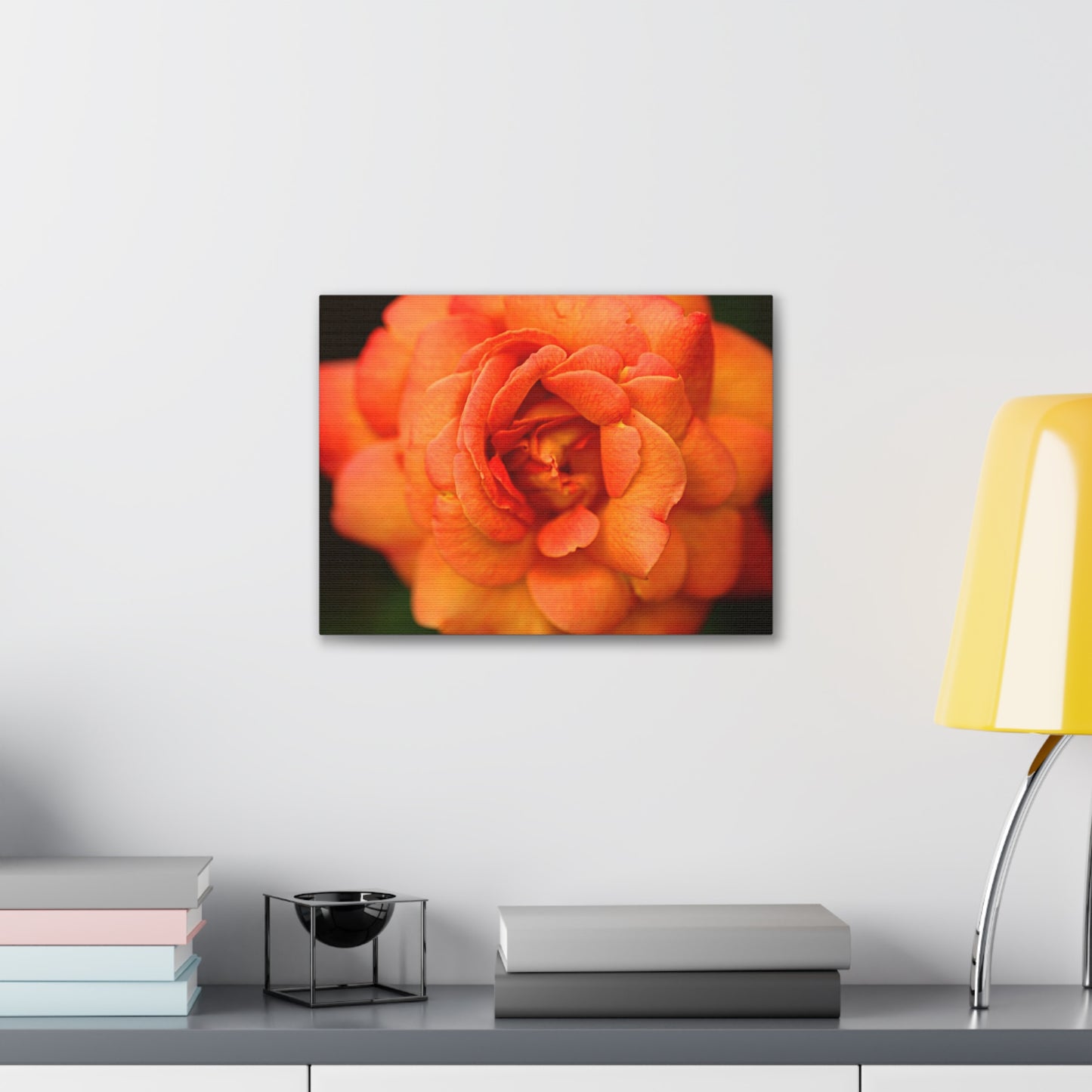 Sunset Sherbet - Rose Collection