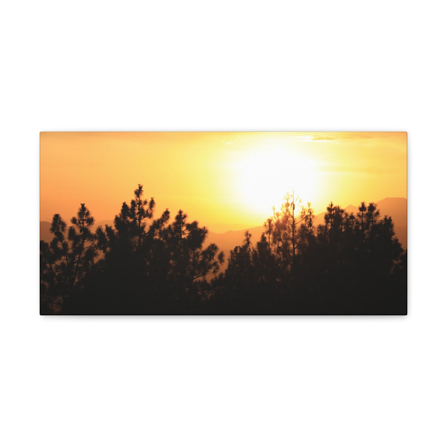 Forest Mountain - Nature Collection