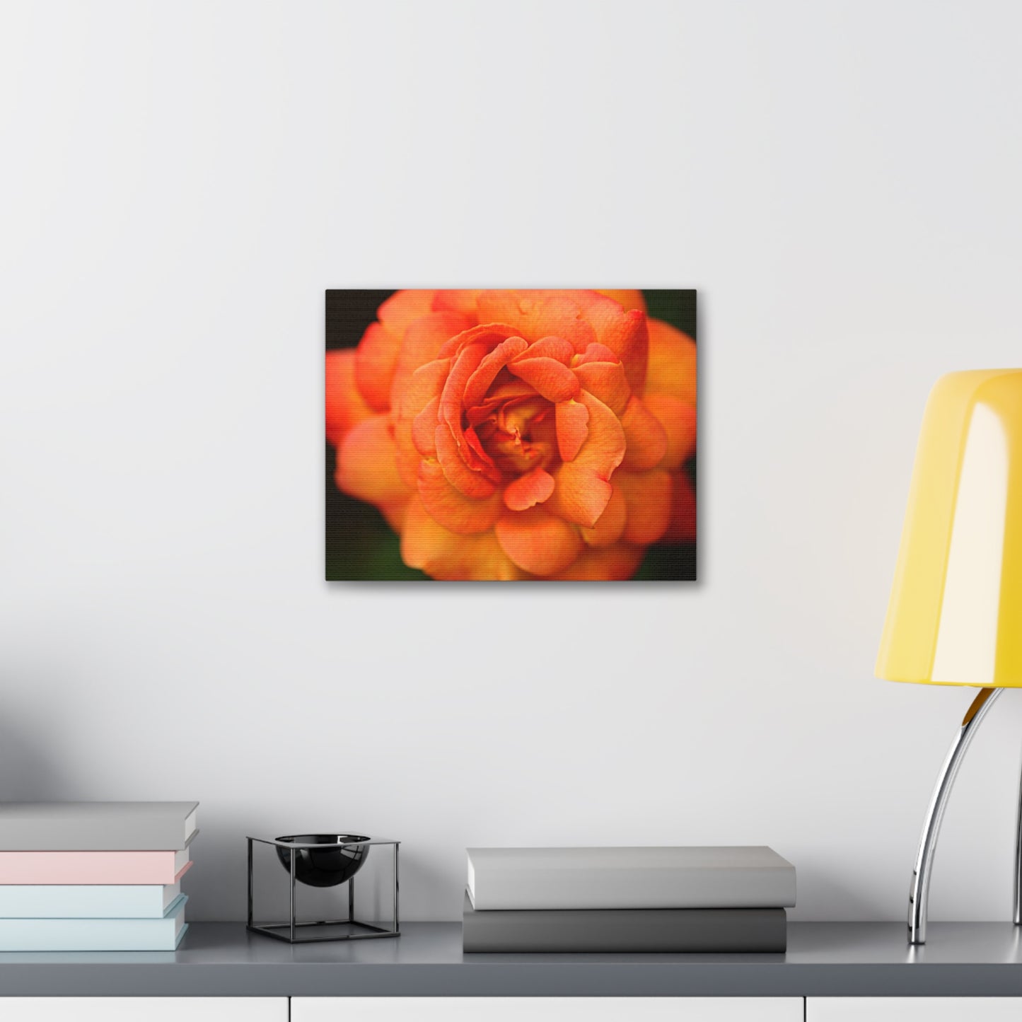 Sunset Sherbet - Rose Collection