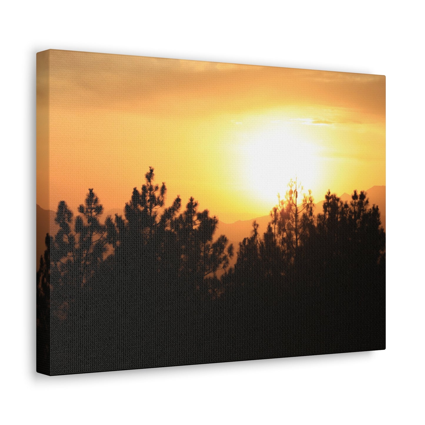Forest Mountain - Nature Collection