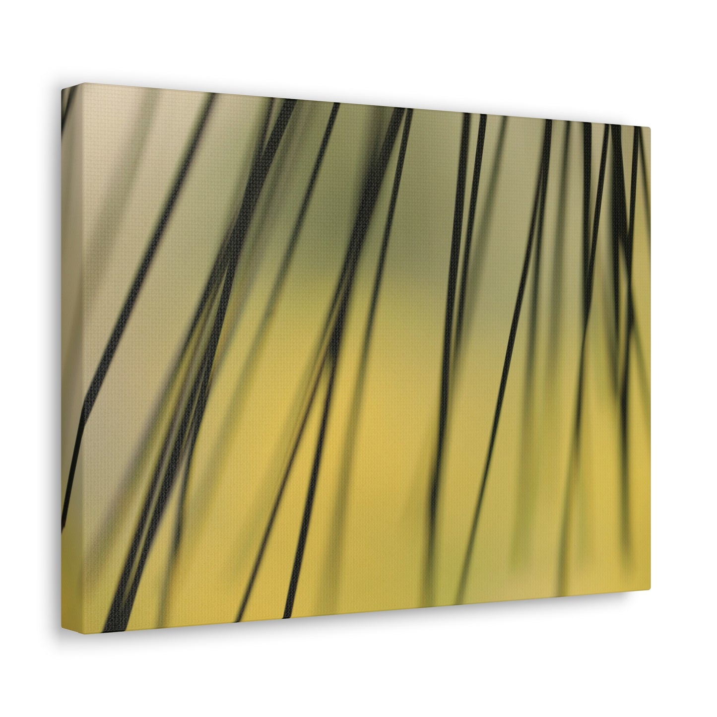 Through the Pine Needles - Nature Collection