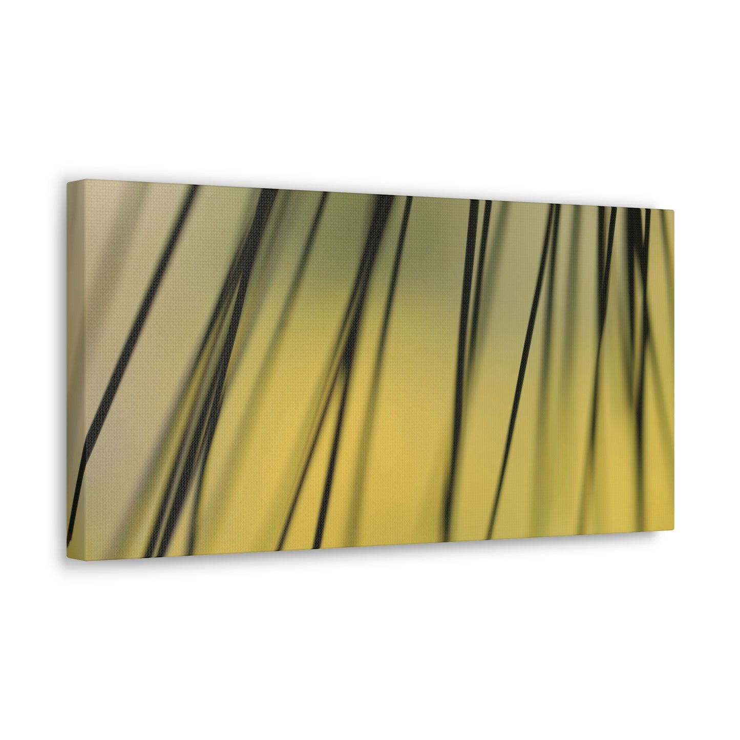 Through the Pine Needles - Nature Collection