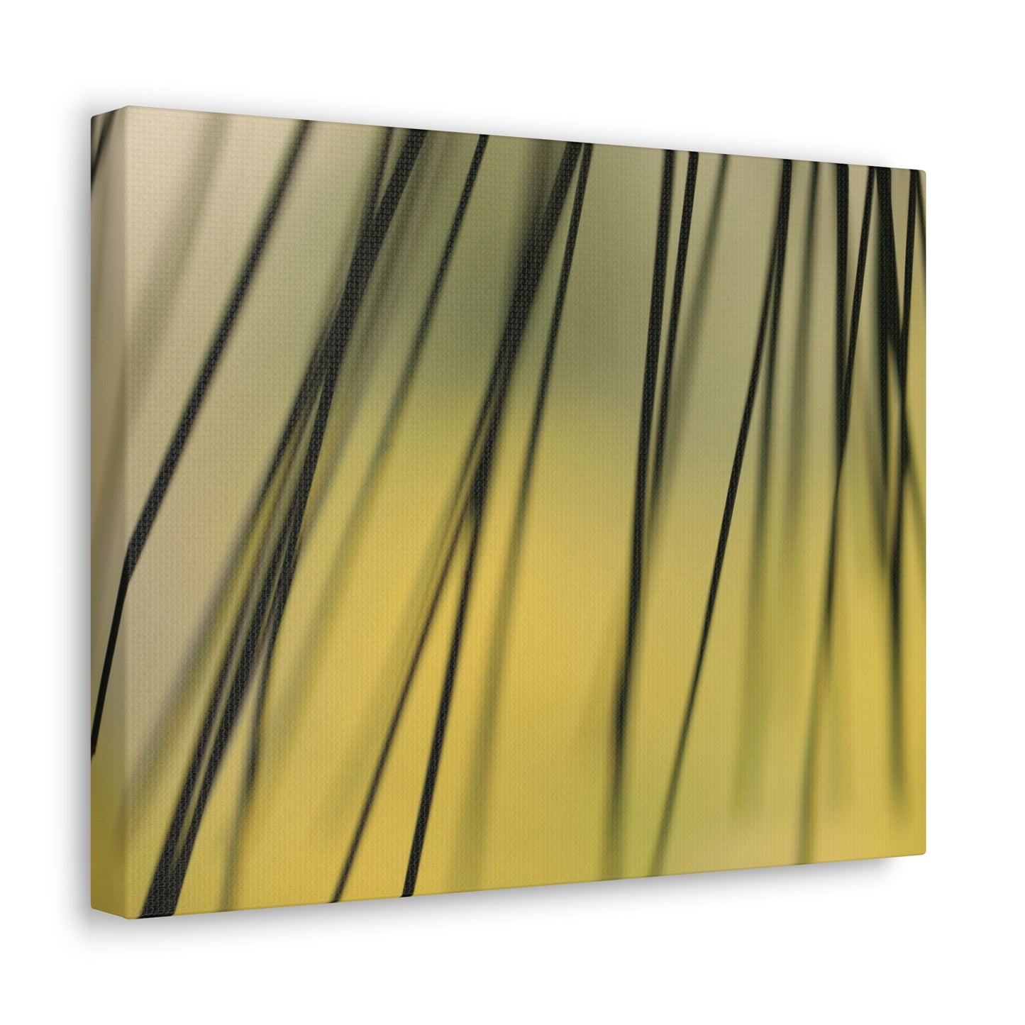 Through the Pine Needles - Nature Collection