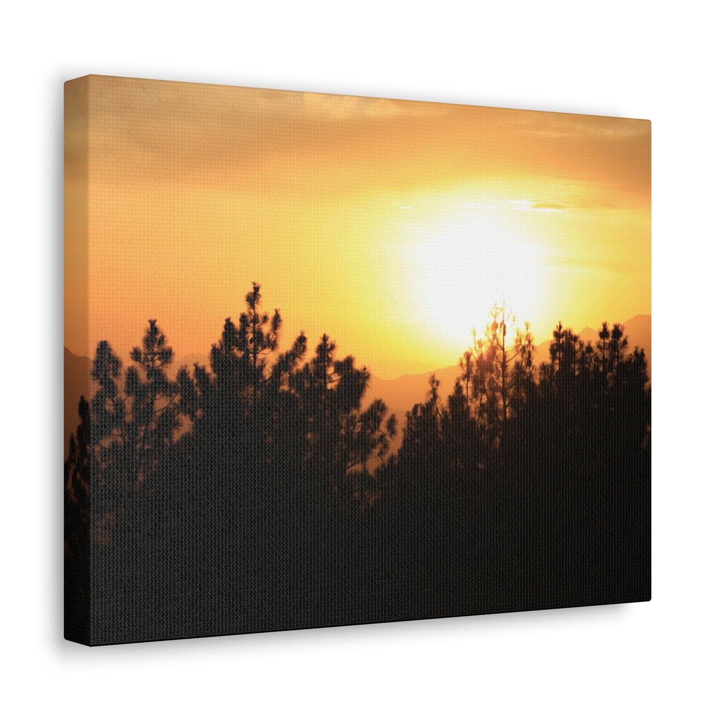 Forest Mountain - Nature Collection
