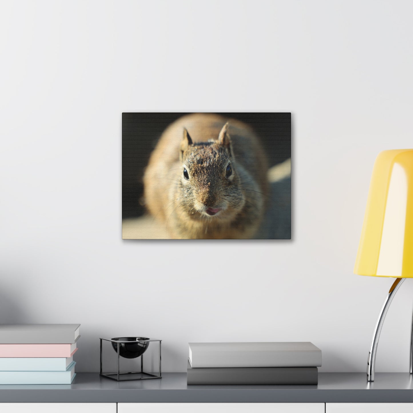 Starving Beach Squirrel - Wall Canvas