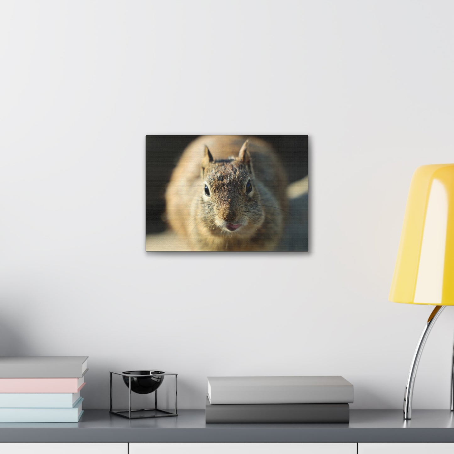 Starving Beach Squirrel - Wall Canvas