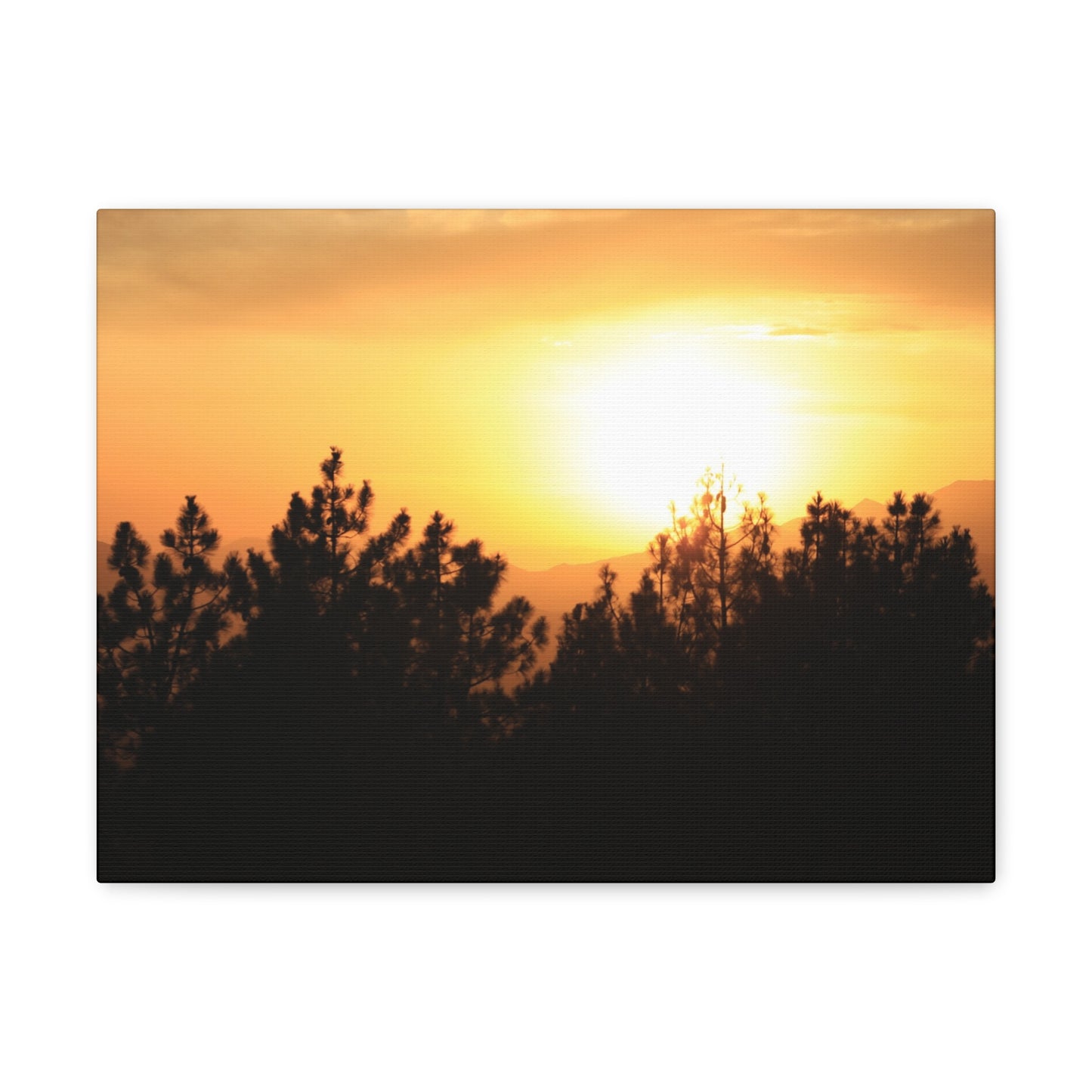Forest Mountain - Nature Collection