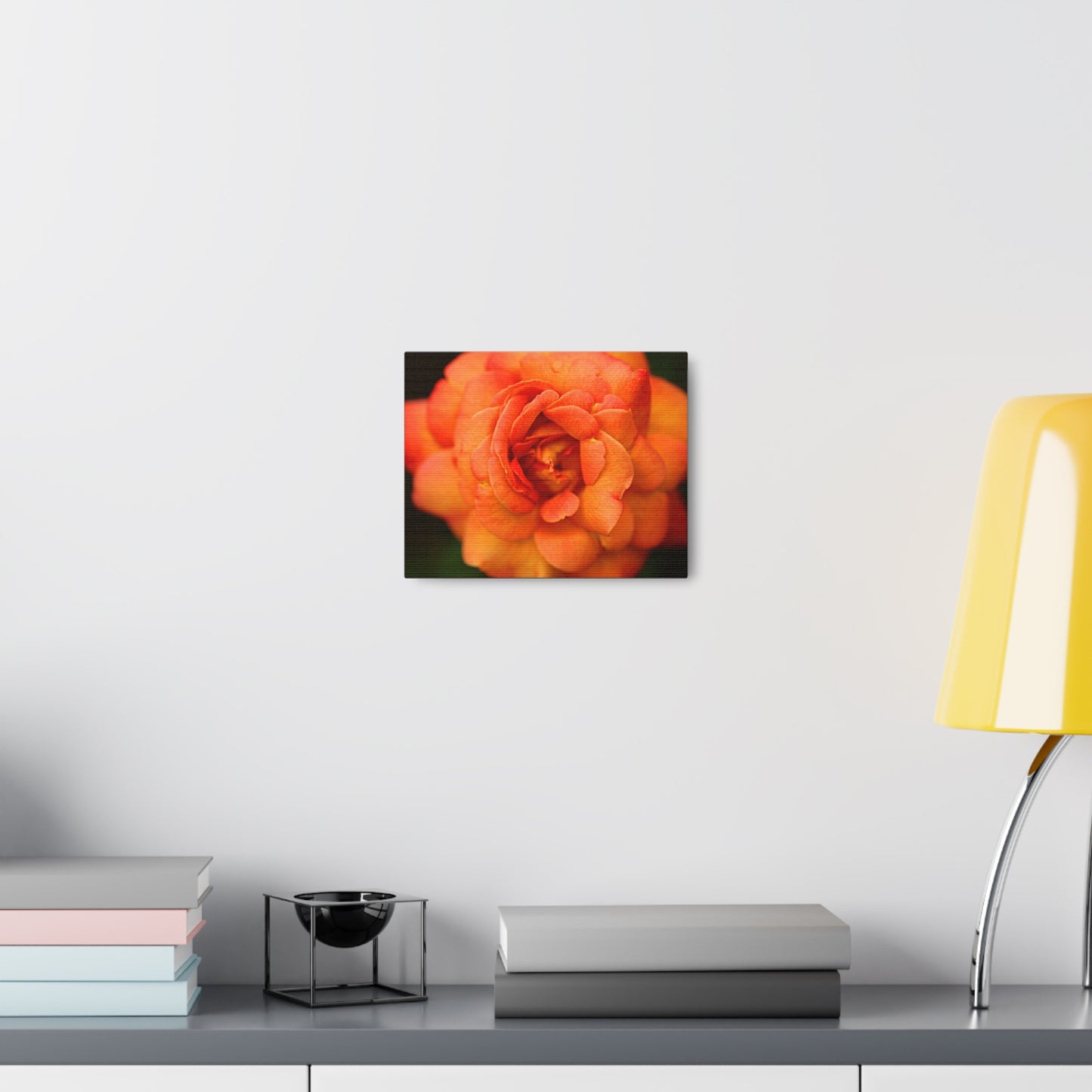 Sunset Sherbet - Rose Collection