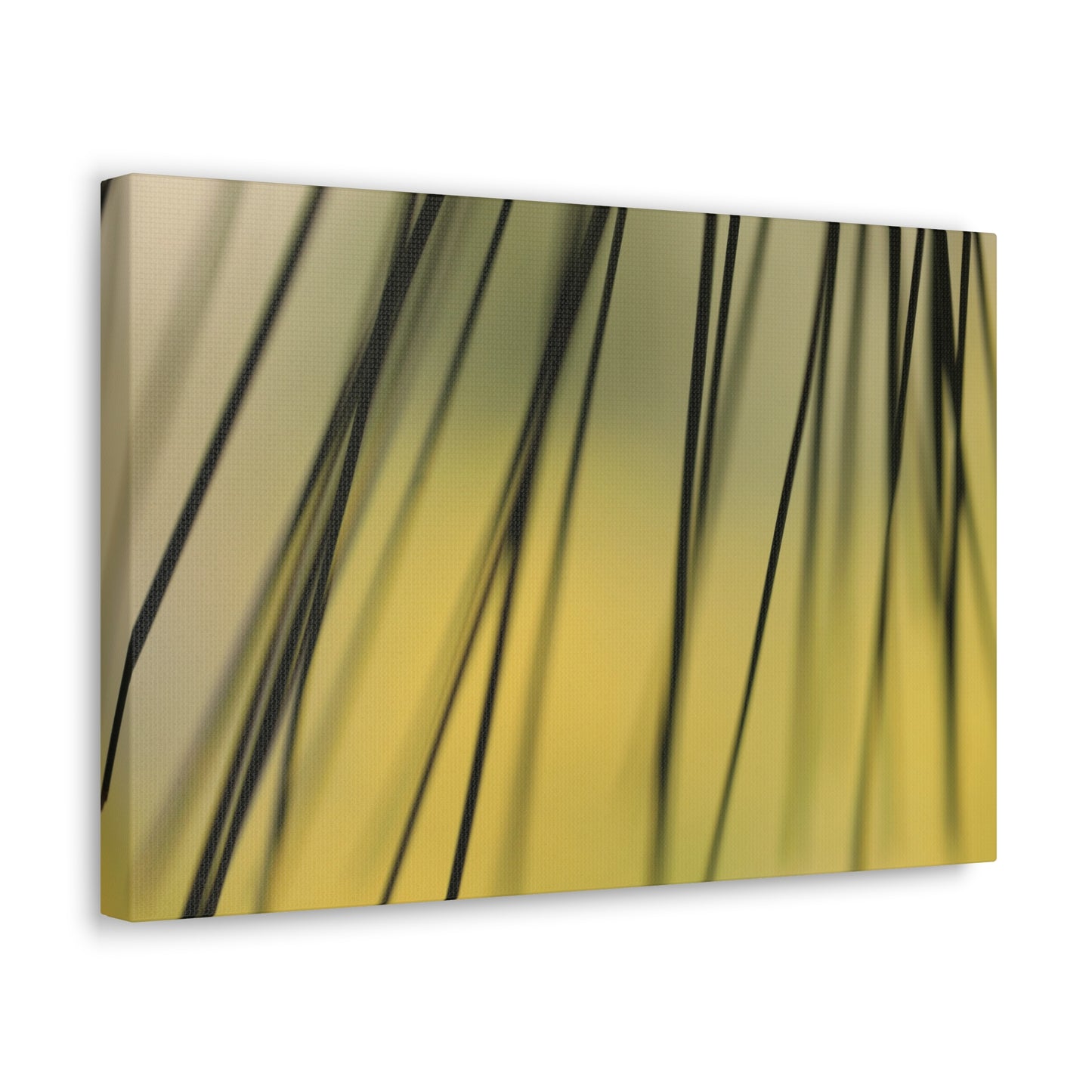Through the Pine Needles - Nature Collection