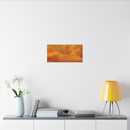 Hidden Gem Rose Wall Art Canvas