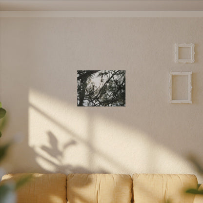 Of The Trees Wall Art Canvas