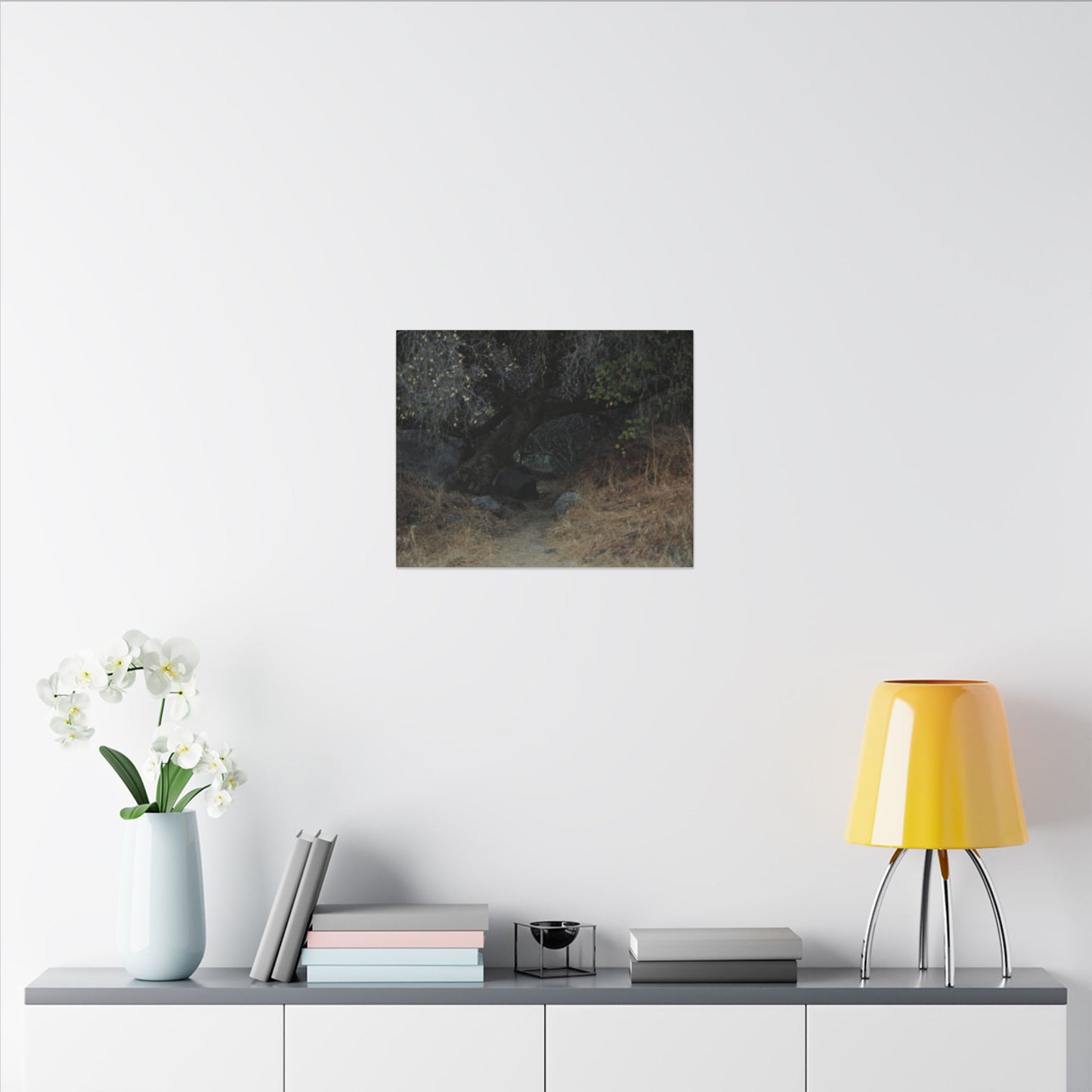 Hidden Path Wall Art Canvas