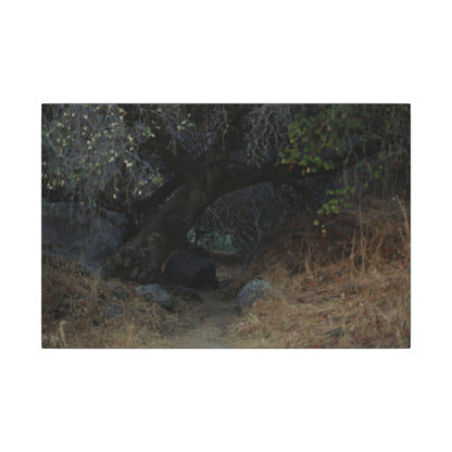 Hidden Path Wall Art Canvas