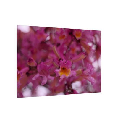 Pink Jacaranda Macro Wall Art Canvas