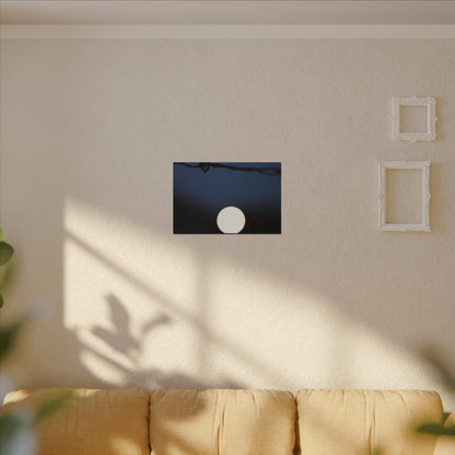 Werewolf Wall Art Canvas