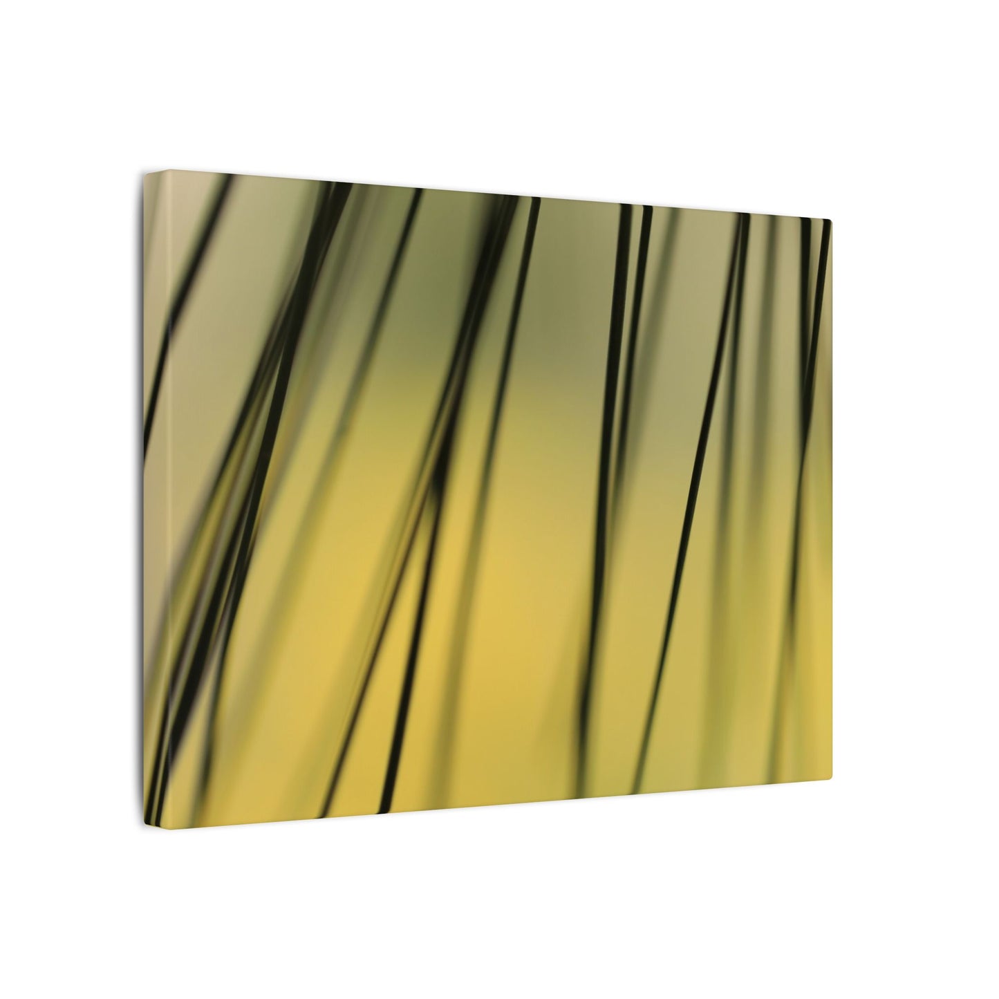 Through the Pine Needles Wall Art Canvas