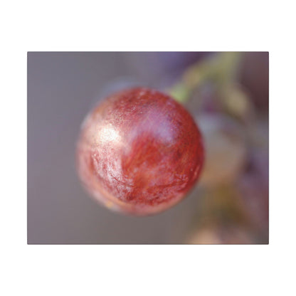 The Grape That Stood Alone Wall Art Canvas