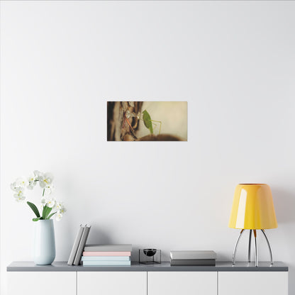 Grasshopper Push It Wall Art Canvas