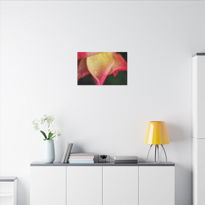 Delicate Rain Rose Wall Art Canvas