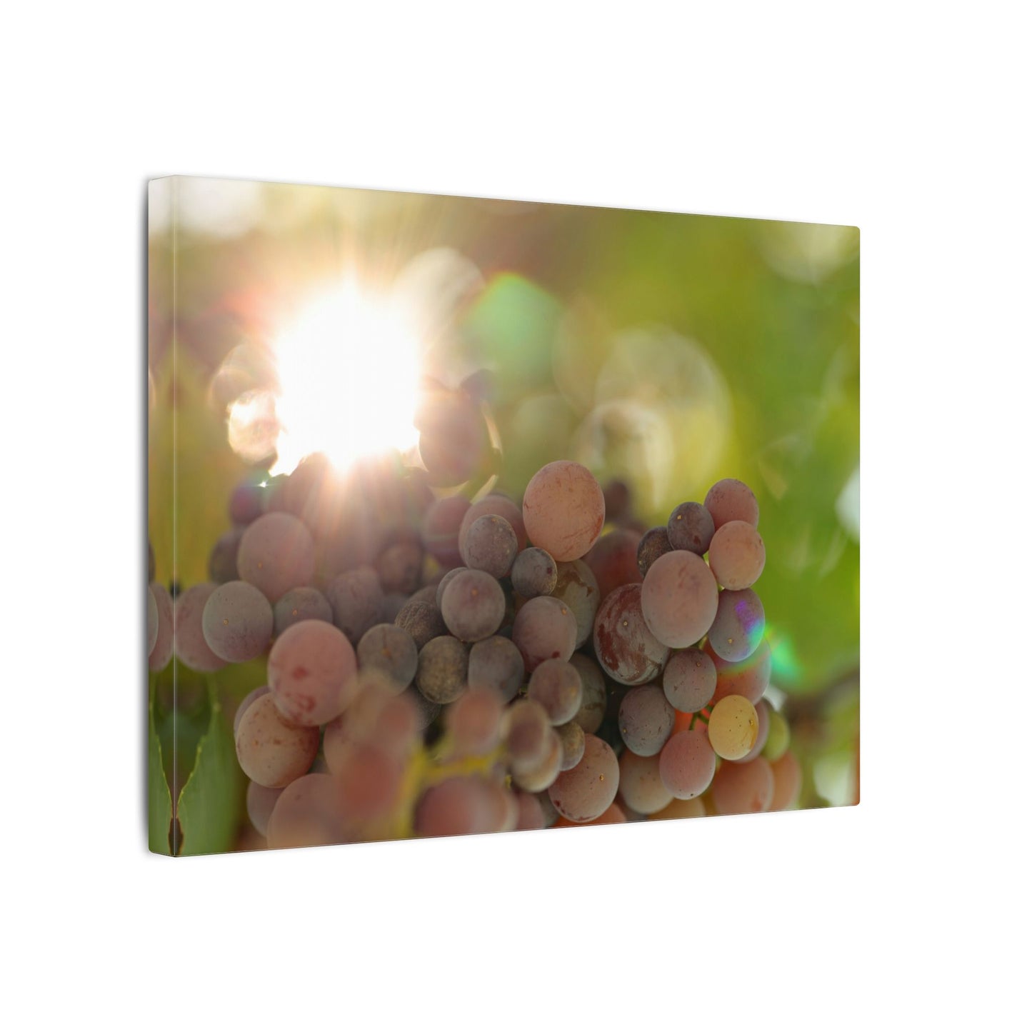 Grape Shine Wall Art Canvas
