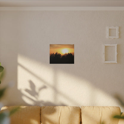 Angeles Forest Wall Art Canvas