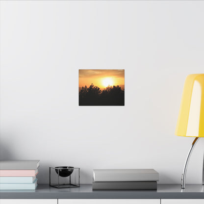 Angeles Forest Wall Art Canvas