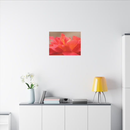 Color Bloom Rose Wall Art Canvas