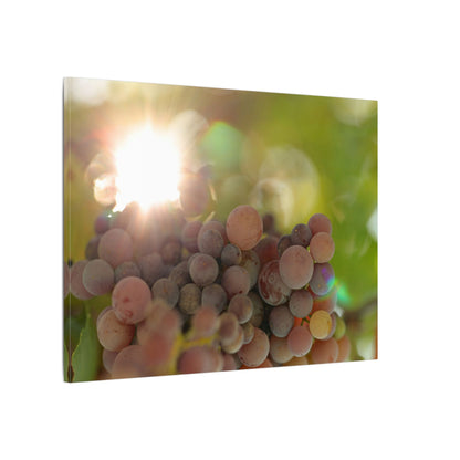Grape Shine Wall Art Canvas