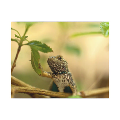 Lizard King Wall Art Canvas