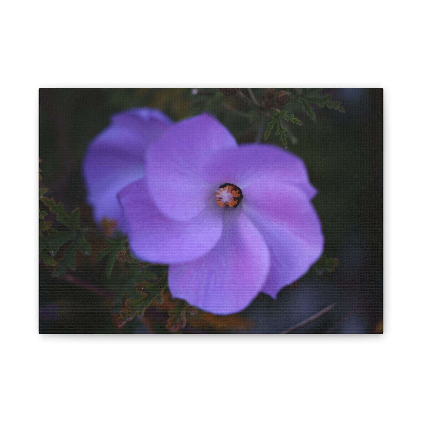 Violet Twist Wall Art Canvas