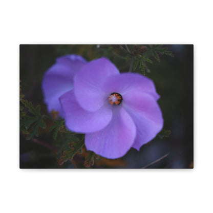 Violet Twist Wall Art Canvas
