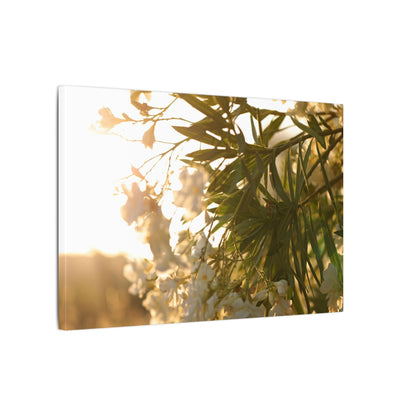 Nerium Oleander Rosebay Wall Art Canvas