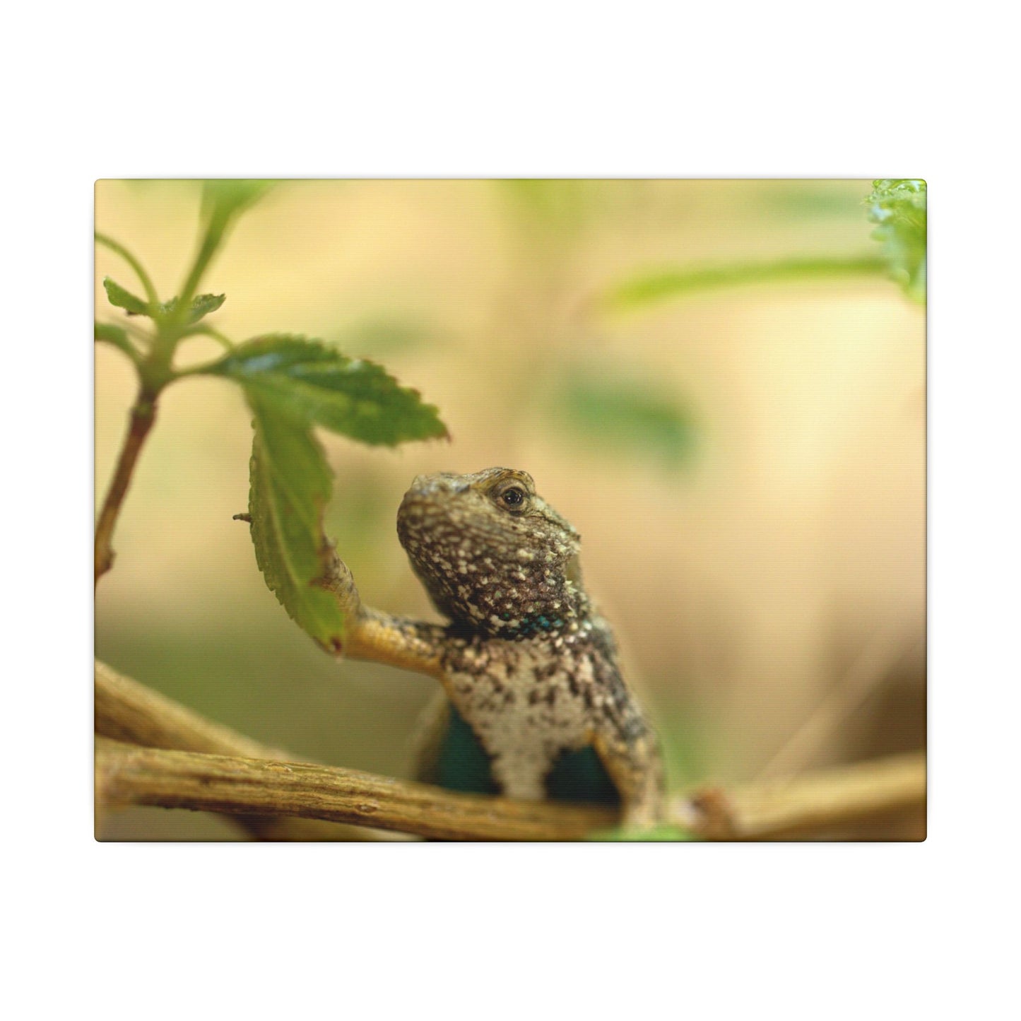 Lizard King Wall Art Canvas