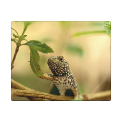 Lizard King Wall Art Canvas