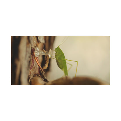 Grasshopper Push It Wall Art Canvas