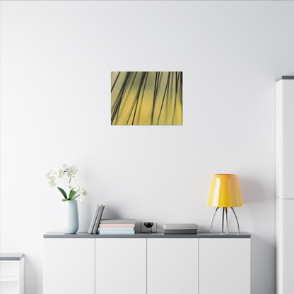 Through the Pine Needles Wall Art Canvas