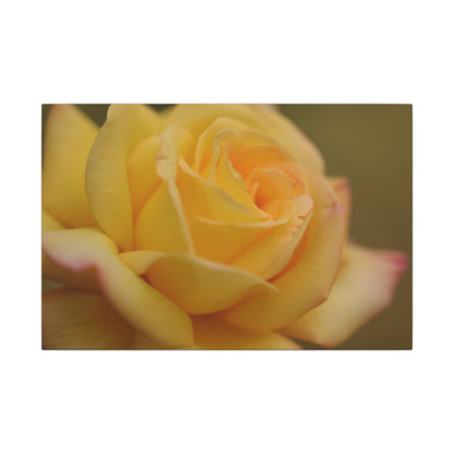 Yellow Delight Rose Wall Art Canvas