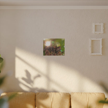 Grape Shine Wall Art Canvas