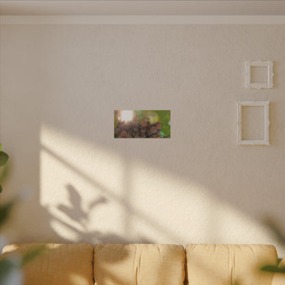 Grape Shine Wall Art Canvas
