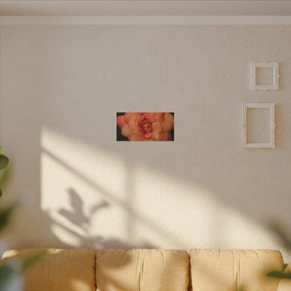 Sunset Sherbet Rose Wall Art Canvas