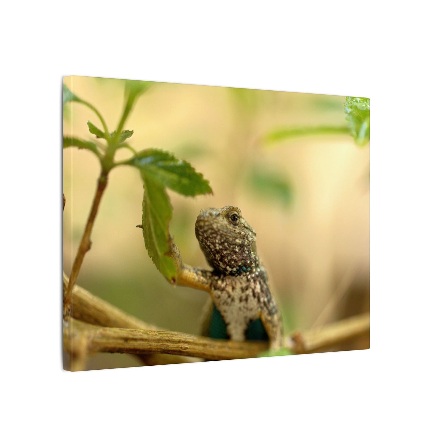Lizard King Wall Art Canvas