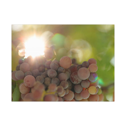 Grape Shine Wall Art Canvas