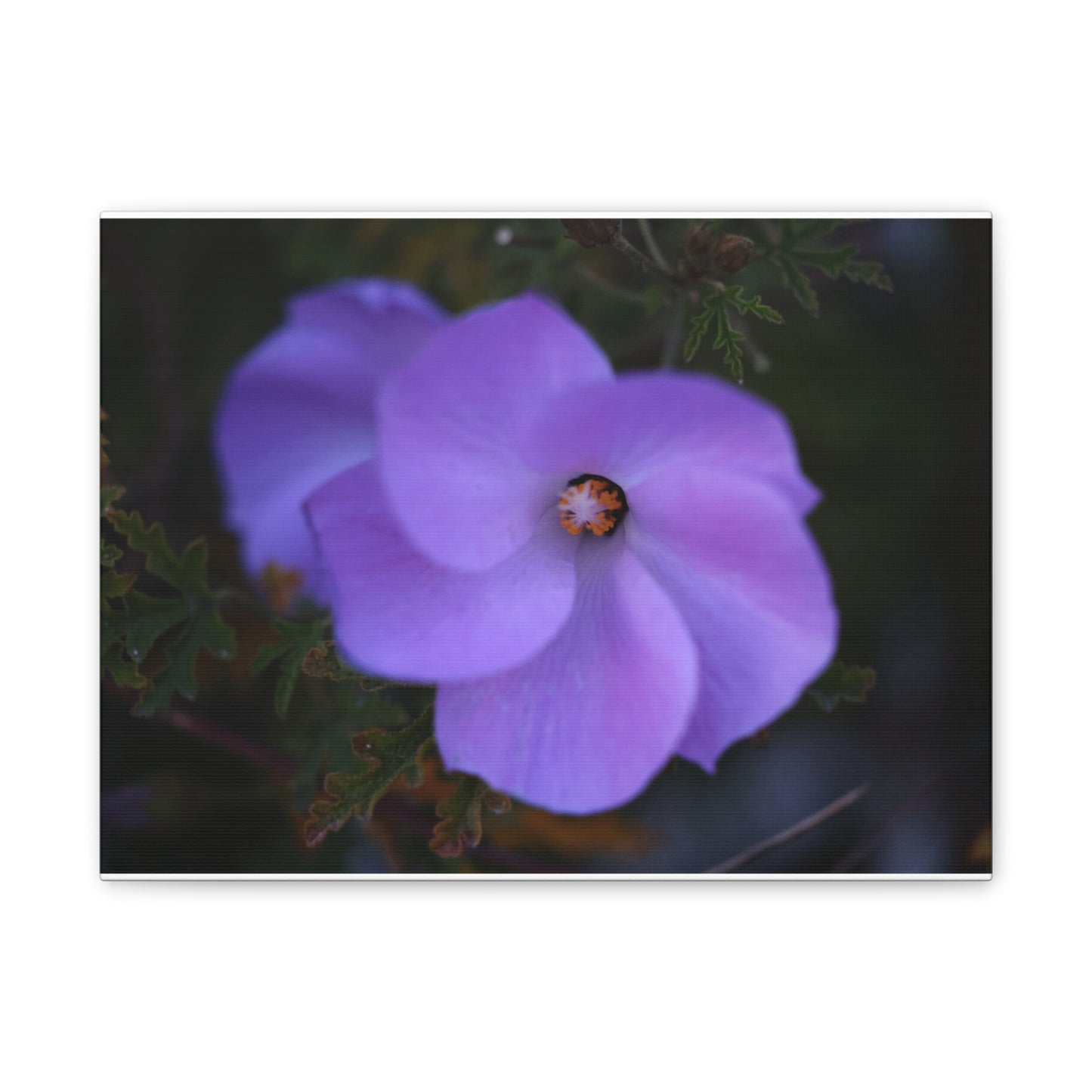 Violet Twist Wall Art Canvas