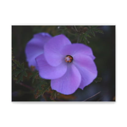 Violet Twist Wall Art Canvas