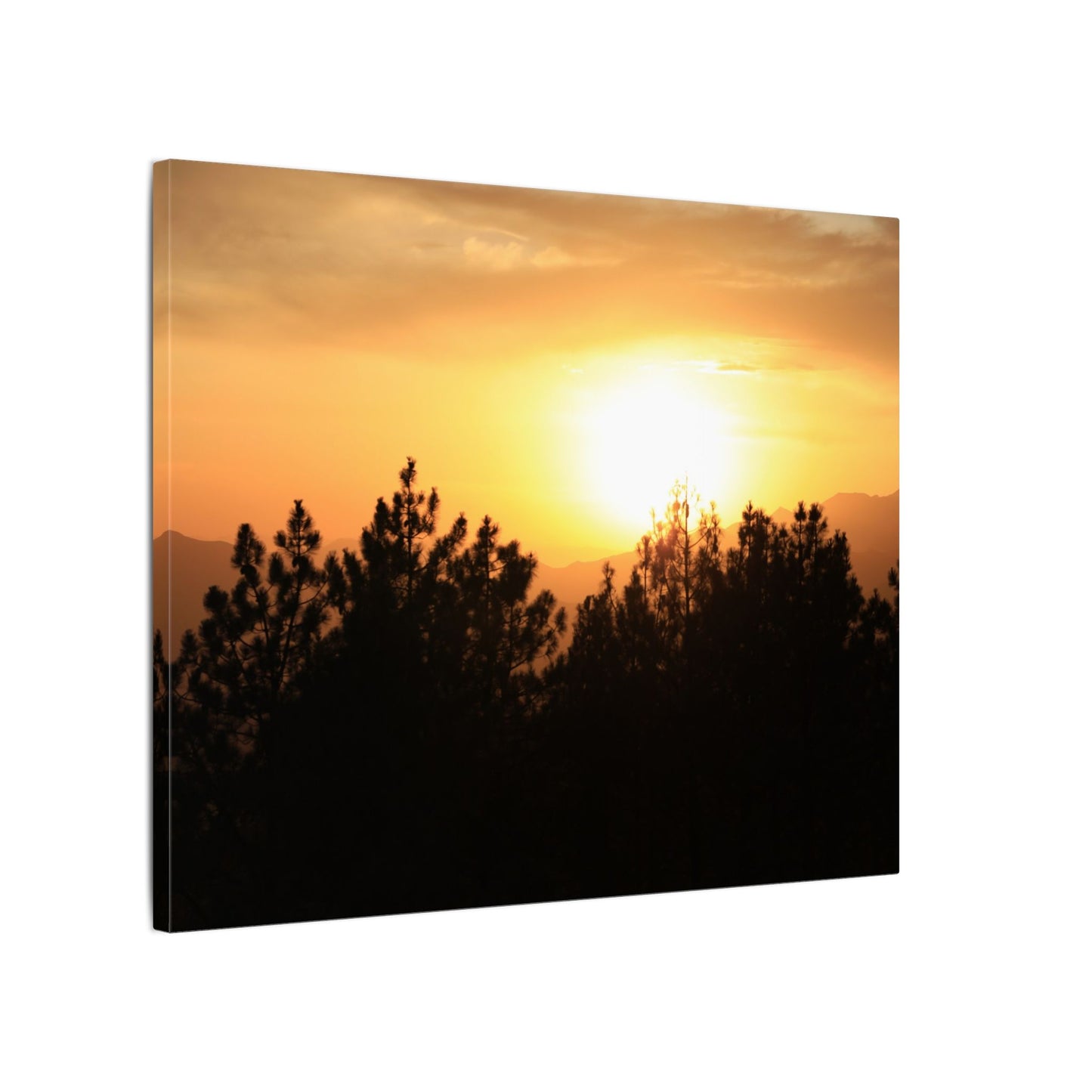 Angeles Forest Wall Art Canvas