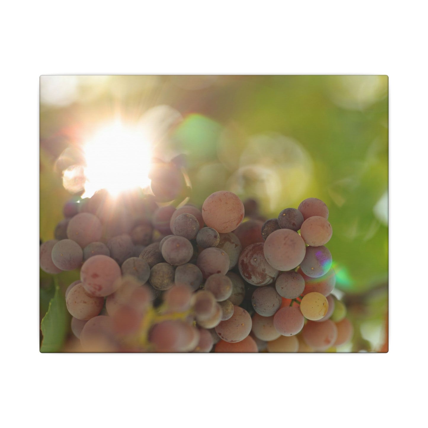 Grape Shine Wall Art Canvas
