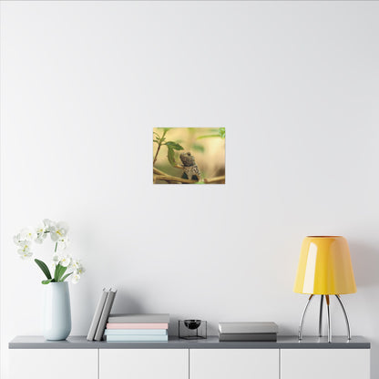 Lizard King Wall Art Canvas