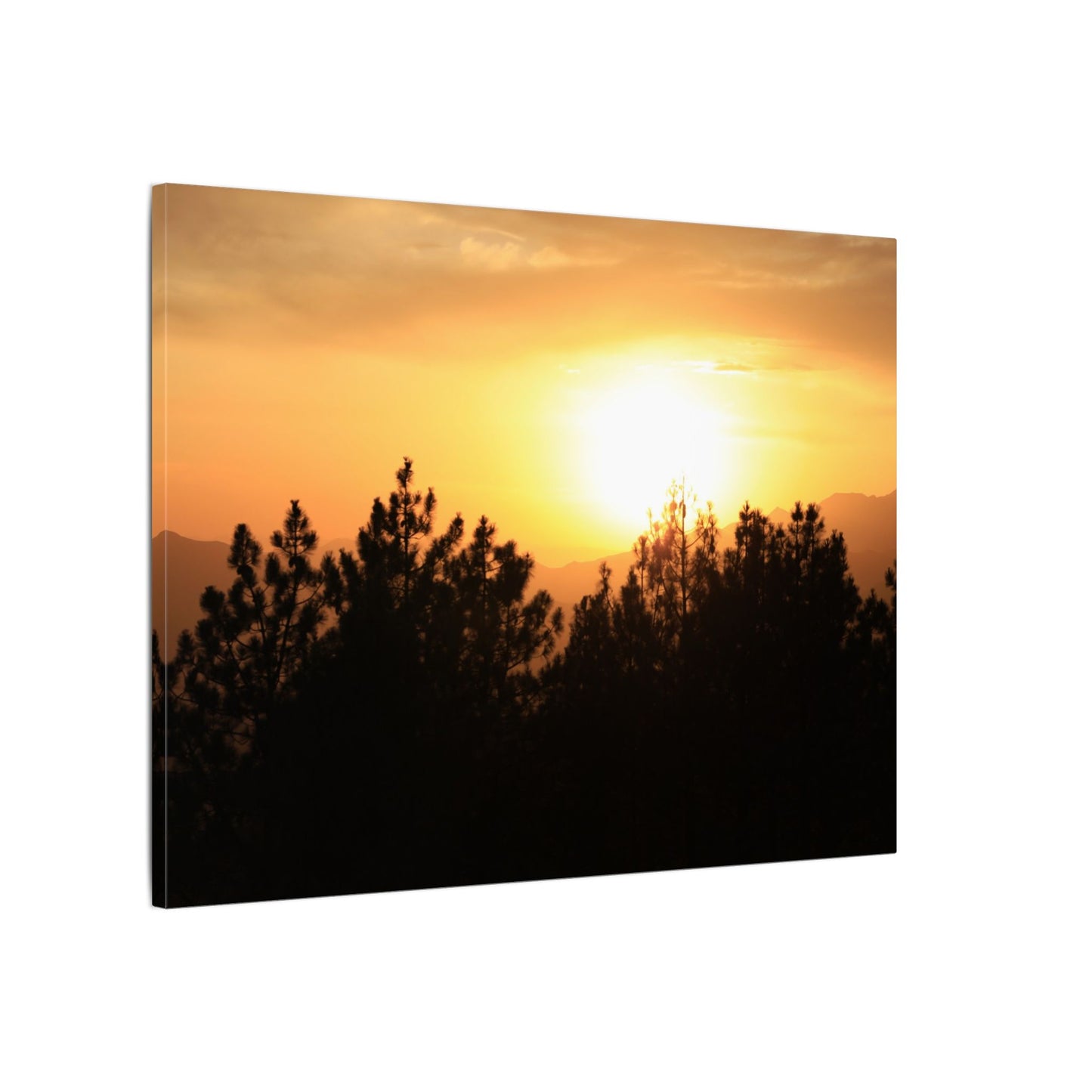 Angeles Forest Wall Art Canvas